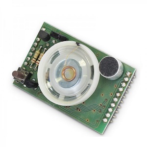 Modulo interfaccia vocale per ETR