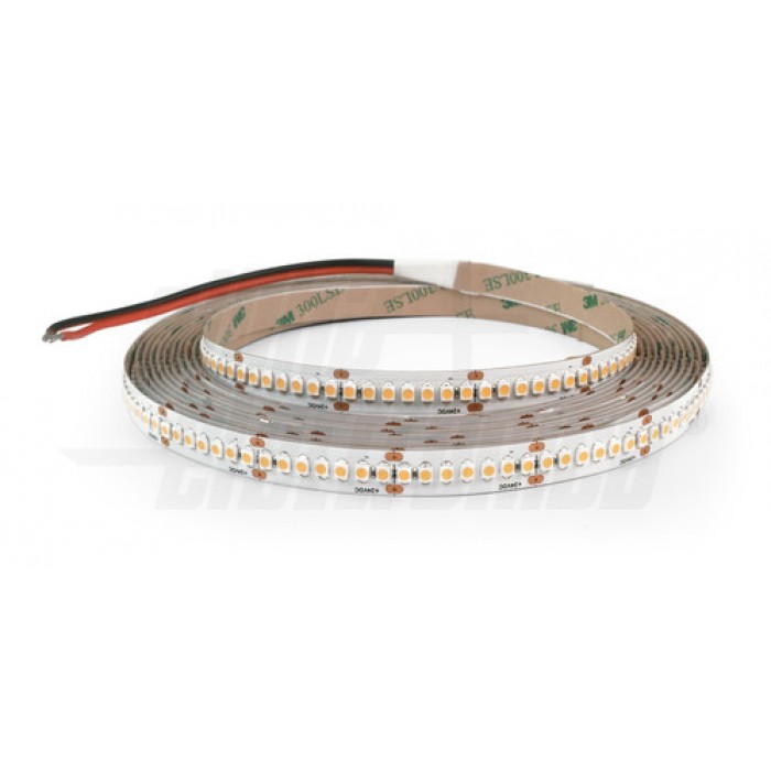 N.LED5m 240L/m 2835 0.2W/L 24V 19.2W/mBC Conf.1 pezzi