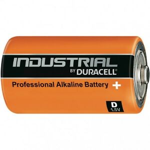 Bliste 2 pz Batteria alcalina Torcia
